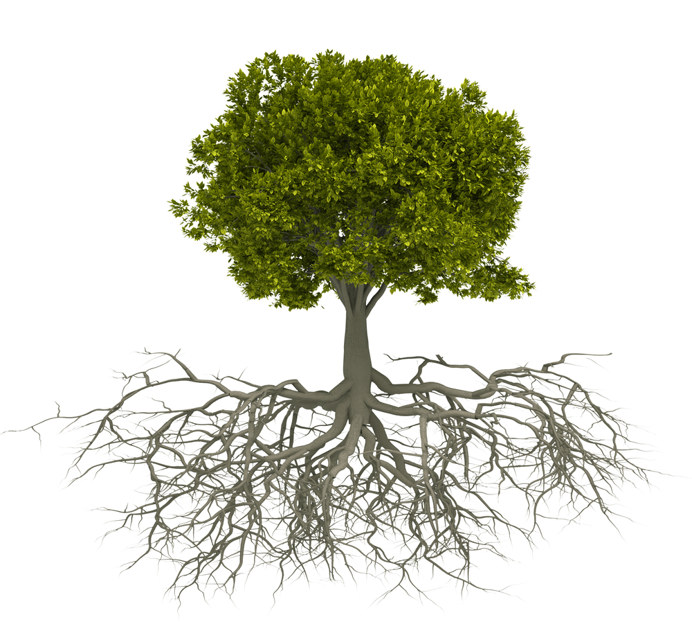 investment property and personal growth tree